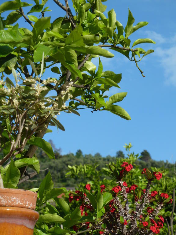 A Durmi Hotell Levanto Exteriör bild